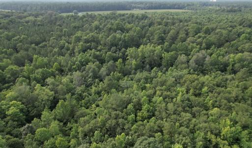 Photo #14 of SOLD property in Off Petersburg Road Route 613, Disputanta, VA 20.0 acres