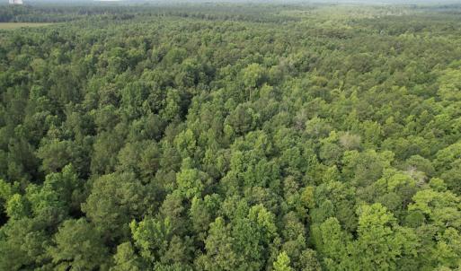 Photo #15 of SOLD property in Off Petersburg Road Route 613, Disputanta, VA 20.0 acres