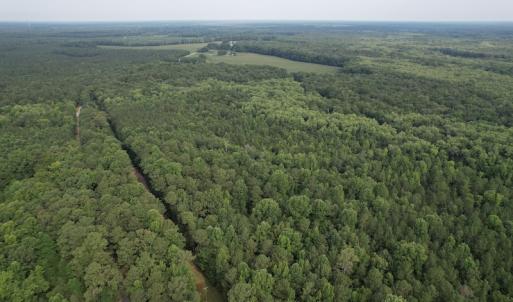 Photo #27 of SOLD property in Off Petersburg Road Route 613, Disputanta, VA 20.0 acres