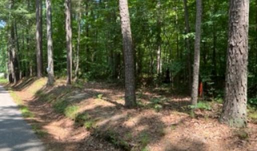 Photo #30 of SOLD property in Off Petersburg Road Route 613, Disputanta, VA 20.0 acres