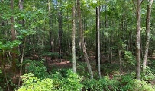 Photo #18 of SOLD property in Off Cabin Point Road Route 602, Disputanta, VA 196.8 acres