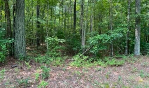 Photo #19 of SOLD property in Off Cabin Point Road Route 602, Disputanta, VA 196.8 acres