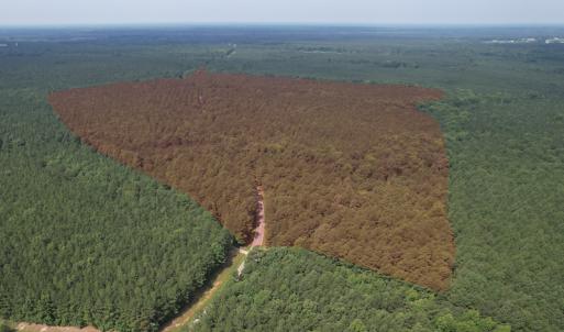 Photo #2 of SOLD property in Off Cabin Point Road Route 602, Disputanta, VA 196.8 acres