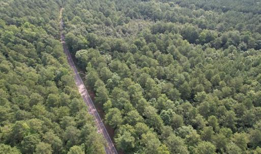 Photo #3 of SOLD property in Off Cabin Point Road Route 602, Disputanta, VA 196.8 acres