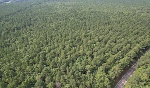 Photo #4 of SOLD property in Off Cabin Point Road Route 602, Disputanta, VA 196.8 acres