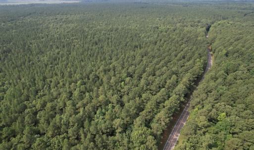 Photo #5 of SOLD property in Off Cabin Point Road Route 602, Disputanta, VA 196.8 acres