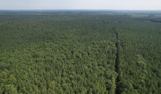 Photo #6 of SOLD property in Off Cabin Point Road Route 602, Disputanta, VA 196.8 acres