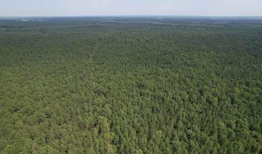 Photo #7 of SOLD property in Off Cabin Point Road Route 602, Disputanta, VA 196.8 acres