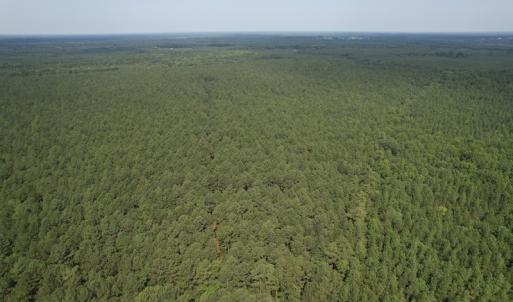 Photo #9 of SOLD property in Off Cabin Point Road Route 602, Disputanta, VA 196.8 acres