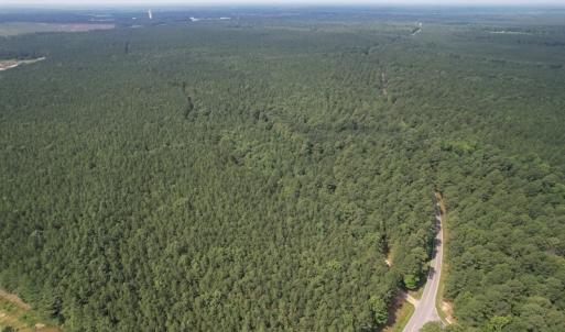 Photo #10 of SOLD property in Off Cabin Point Road Route 602, Disputanta, VA 196.8 acres