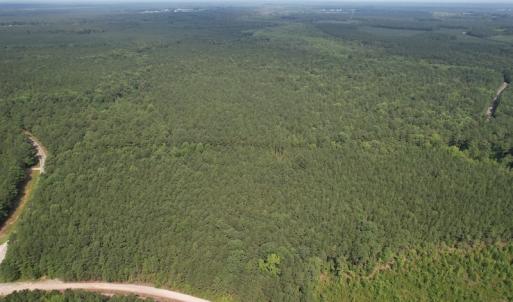 Photo #11 of SOLD property in Off Cabin Point Road Route 602, Disputanta, VA 196.8 acres