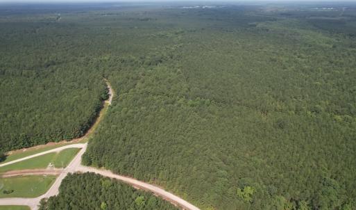 Photo #12 of SOLD property in Off Cabin Point Road Route 602, Disputanta, VA 196.8 acres