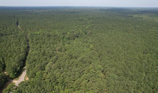 Photo #14 of SOLD property in Off Cabin Point Road Route 602, Disputanta, VA 196.8 acres