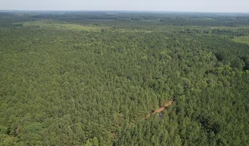 Photo #15 of SOLD property in Off Cabin Point Road Route 602, Disputanta, VA 196.8 acres