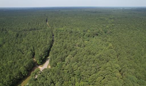 Photo #16 of SOLD property in Off Cabin Point Road Route 602, Disputanta, VA 196.8 acres