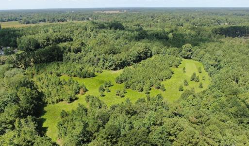 Photo #3 of Off Roe & Sarah Drive, Elizabethtown, NC 69.3 acres