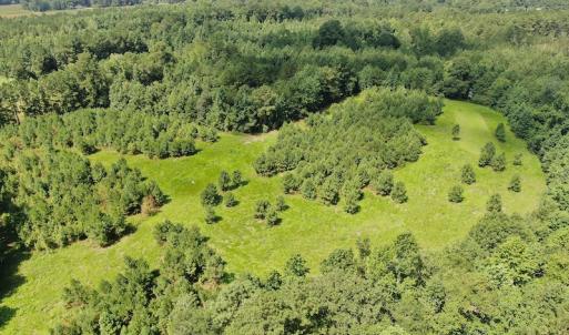 Photo #4 of Off Roe & Sarah Drive, Elizabethtown, NC 69.3 acres
