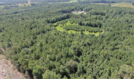 Photo #5 of Off Roe & Sarah Drive, Elizabethtown, NC 69.3 acres