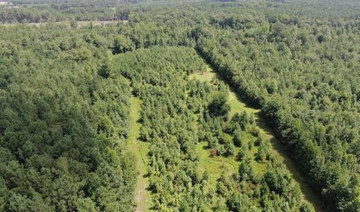 Photo #6 of Off Roe & Sarah Drive, Elizabethtown, NC 69.3 acres