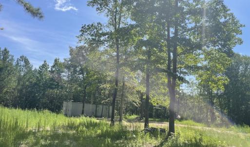 Photo #8 of Off Roe & Sarah Drive, Elizabethtown, NC 69.3 acres