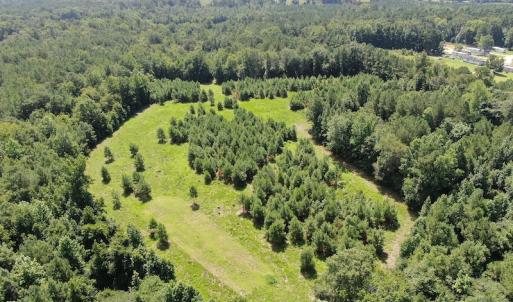 Photo #2 of Off Roe & Sarah Drive, Elizabethtown, NC 69.3 acres