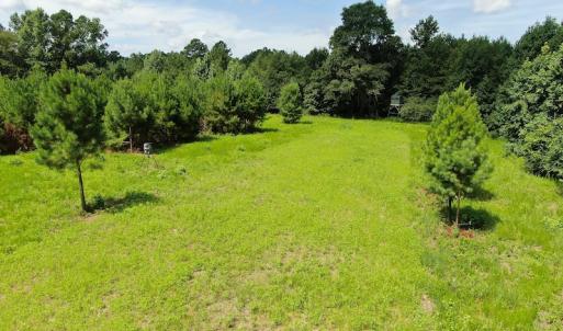 Photo #7 of Off Roe & Sarah Drive, Elizabethtown, NC 69.3 acres