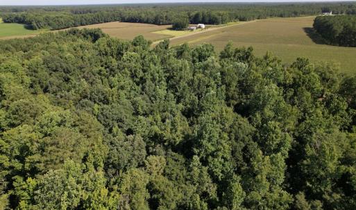 Photo #5 of SOLD property in 796 Page Road, Bladenboro, NC 12.0 acres