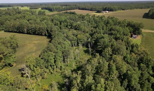 Photo #6 of SOLD property in 796 Page Road, Bladenboro, NC 12.0 acres