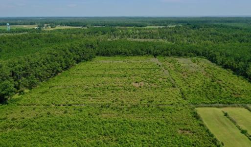 Photo #3 of SOLD property in Off Hwy 33, Hobucken, NC 28.6 acres