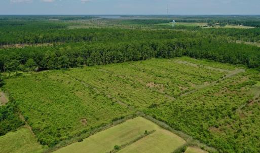 Photo #4 of SOLD property in Off Hwy 33, Hobucken, NC 28.6 acres