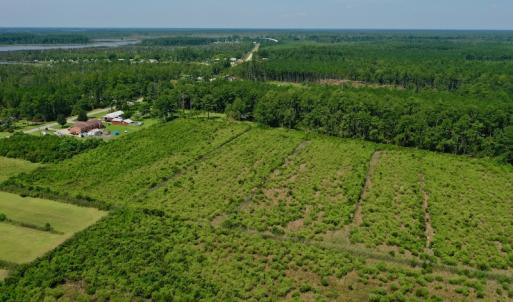 Photo #7 of SOLD property in Off Hwy 33, Hobucken, NC 28.6 acres
