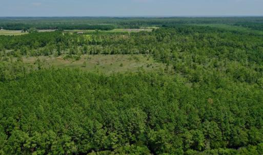 Photo #9 of SOLD property in Off Hwy 33, Hobucken, NC 28.6 acres