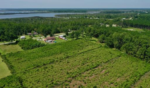 Photo #10 of SOLD property in Off Hwy 33, Hobucken, NC 28.6 acres