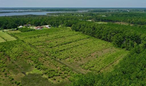 Photo #11 of SOLD property in Off Hwy 33, Hobucken, NC 28.6 acres