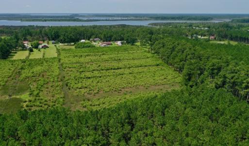 Photo #12 of SOLD property in Off Hwy 33, Hobucken, NC 28.6 acres