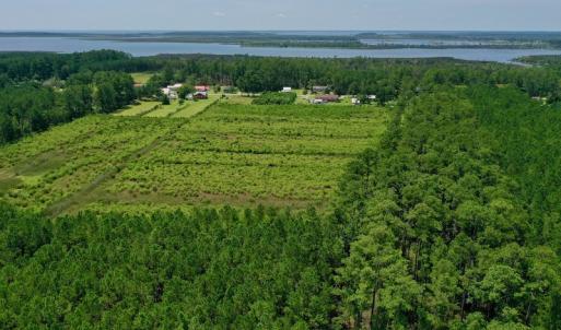 Photo #13 of SOLD property in Off Hwy 33, Hobucken, NC 28.6 acres