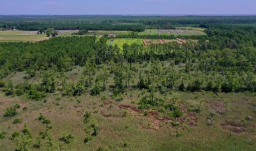 Photo #14 of SOLD property in Off Hwy 33, Hobucken, NC 28.6 acres