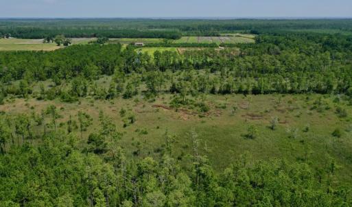 Photo #15 of SOLD property in Off Hwy 33, Hobucken, NC 28.6 acres