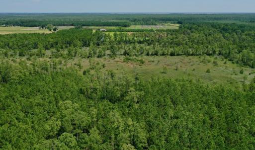 Photo #16 of SOLD property in Off Hwy 33, Hobucken, NC 28.6 acres