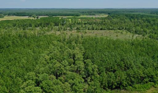 Photo #17 of SOLD property in Off Hwy 33, Hobucken, NC 28.6 acres