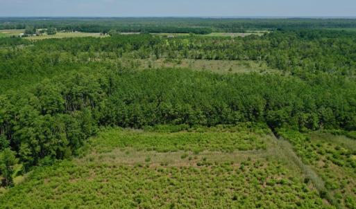 Photo #18 of SOLD property in Off Hwy 33, Hobucken, NC 28.6 acres