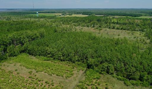 Photo #19 of SOLD property in Off Hwy 33, Hobucken, NC 28.6 acres