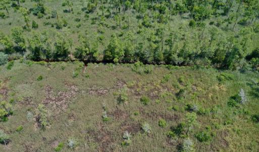 Photo #20 of SOLD property in Off Hwy 33, Hobucken, NC 28.6 acres