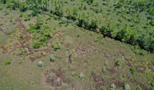 Photo #21 of SOLD property in Off Hwy 33, Hobucken, NC 28.6 acres