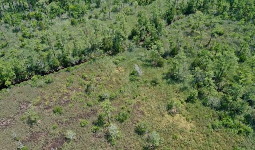 Photo #22 of SOLD property in Off Hwy 33, Hobucken, NC 28.6 acres