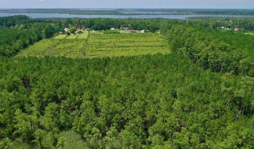 Photo #23 of SOLD property in Off Hwy 33, Hobucken, NC 28.6 acres