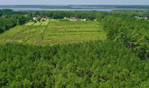 Photo #24 of SOLD property in Off Hwy 33, Hobucken, NC 28.6 acres