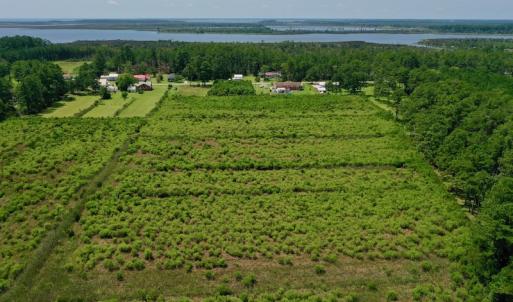 Photo #25 of SOLD property in Off Hwy 33, Hobucken, NC 28.6 acres