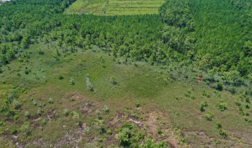 Photo #28 of SOLD property in Off Hwy 33, Hobucken, NC 28.6 acres