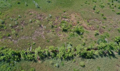 Photo #30 of SOLD property in Off Hwy 33, Hobucken, NC 28.6 acres